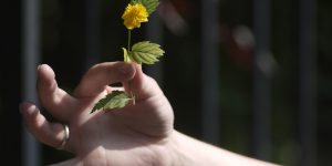 함께하는 사회  공감서비스